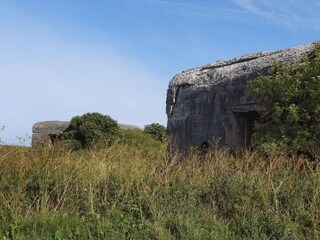 Maison de vacances Gjellerodde  17
