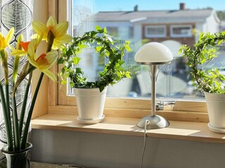 Vakantiehuis Göteborg  23