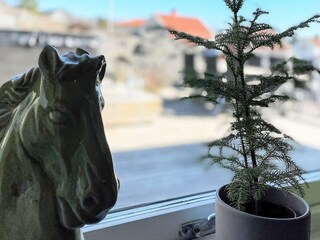 Vakantiehuis Göteborg  25