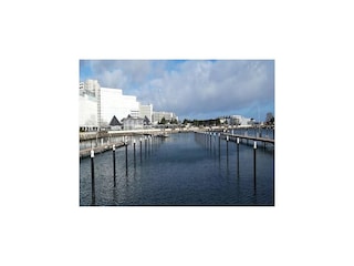 Ferienhaus Damp Umgebung 38