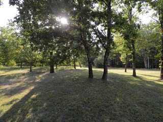 Villa Saint-Avit-Sénieur Registrazione all'aperto 18