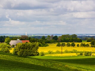 Rape field in May with a view of Lübeck Bay