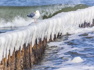 Auch im Winter ein attraktives Reiseziel