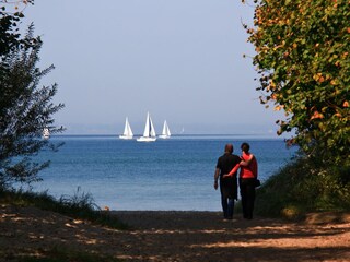 Spaziergänge an der Ostsee