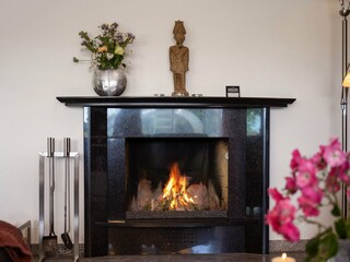 Wood burner
