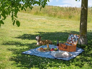 Pick nick under the walnut tree