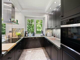 Luxury kitchen