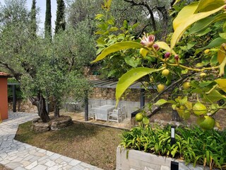 villa borgo Barlin Garten