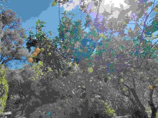 Casa per le vacanze Dolcedo Registrazione all'aperto 12