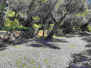 Casa per le vacanze Dolcedo Registrazione all'aperto 16