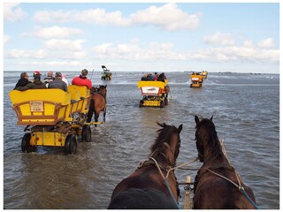 Mudflat trip to Neuwerk island