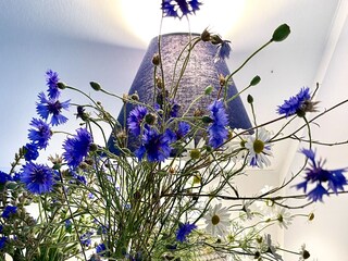 Ferienhaus Zierow Ausstattung 15