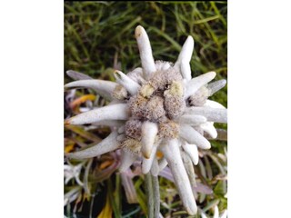 Appartamento per vacanze Birnbaum Ambiente 34