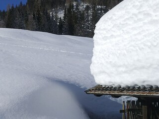 Appartamento per vacanze Birnbaum Registrazione all'aperto 13