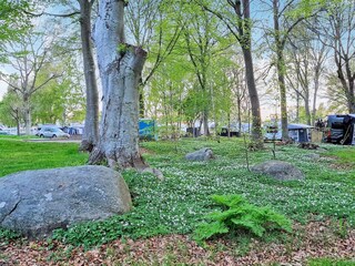 Vakantiehuis Hörvik  23