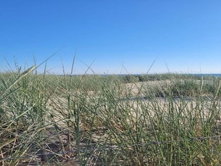 Apartment Zoutelande Environment 28