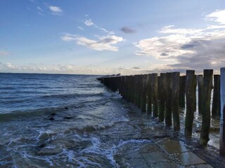 Appartamento Zoutelande Ambiente 30