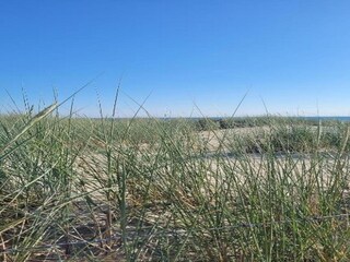 Apartment Zoutelande Umgebung 28