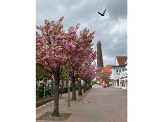 Appartamento per vacanze Borkum Ambiente 10