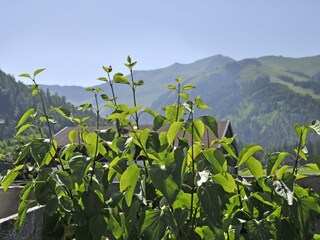 _D3S8468