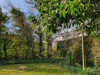 Casa per le vacanze Kamperland Registrazione all'aperto 3