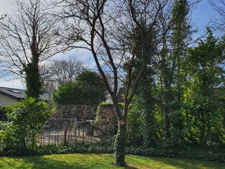 Casa per le vacanze Kamperland Registrazione all'aperto 4