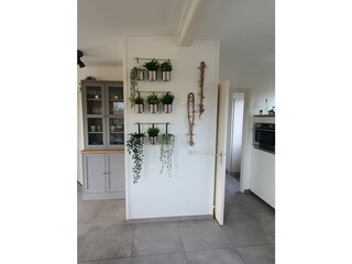 Casa per le vacanze Kamperland Caratteristiche 17