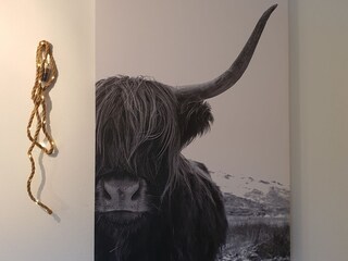 Casa per le vacanze Kamperland Caratteristiche 26