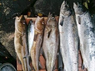 Vakantiehuis Seim  22