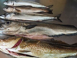 Vakantiehuis Seim  26