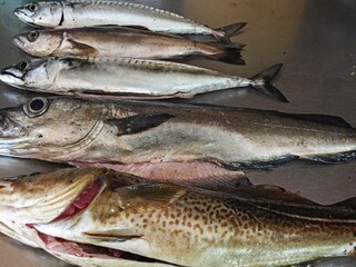 Vakantiehuis Seim  16