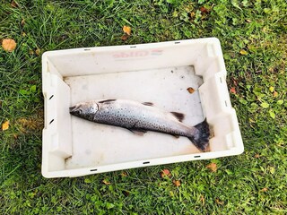 Ferienhaus Olden  20