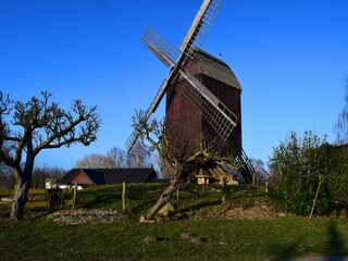 Appartement Lubmin Omgeving 33