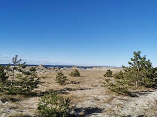 Apartment Lubmin Environment 34