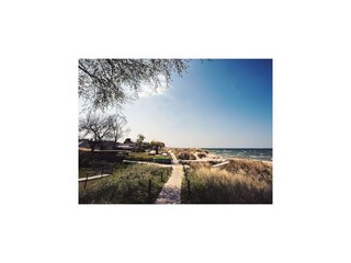 Apartment Lubmin Environment 41