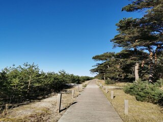 Apartamento Lubmin Entorno 35