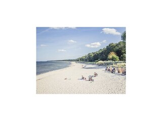 Apartment Lubmin Environment 42