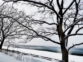 Apartamento Lubmin Entorno 44