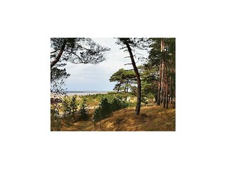 Appartement Lubmin Environnement 49