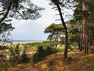 Apartment Lubmin Environment 32