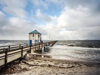 Apartment Lubmin Environment 34