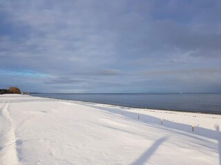 Apartment Lubmin Environment 36