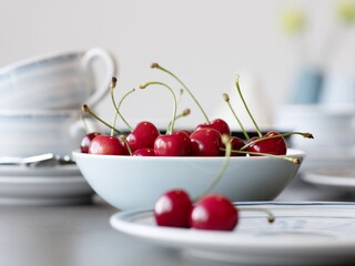 Appartamento per vacanze Wunsiedel Caratteristiche 26