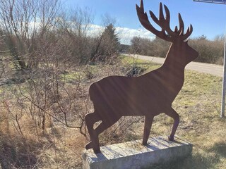 Vakantiehuis Tranum Strand Buitenaudio-opname 3