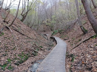 Ferienhaus Tranum Strand  19