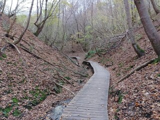 Maison de vacances Tranum Strand  21