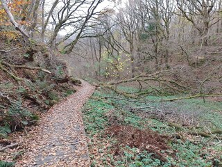 Holiday house Tranum Strand  32