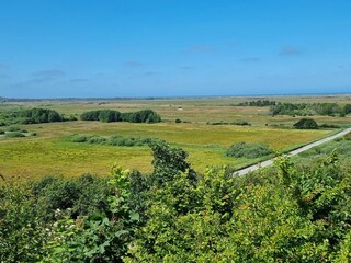 Ferienhaus Tranum Strand  35