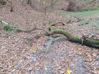 Ferienhaus Tranum Strand  23