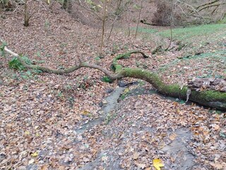 Ferienhaus Tranum Strand  29